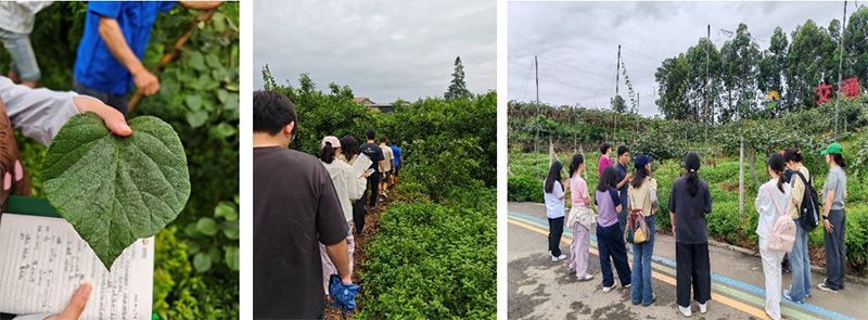 首個(gè)！中國(guó)農(nóng)業(yè)大學(xué)攜手新朝陽(yáng)啟動(dòng)“朝陽(yáng)稼穡計(jì)劃”