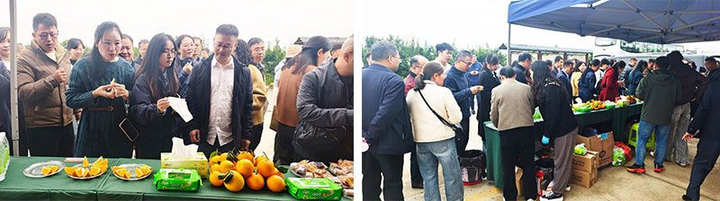 新朝陽(yáng)生物技術(shù)助力綠色防控，推動(dòng)柑橘產(chǎn)業(yè)綠色高質(zhì)量發(fā)展