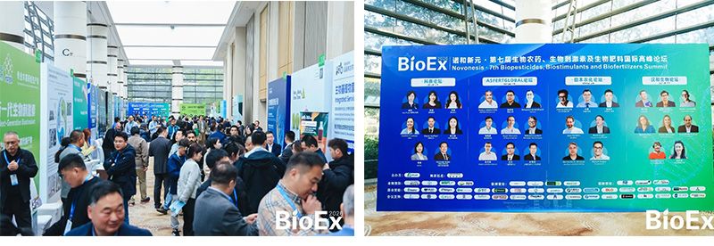 新朝陽亮相BioEx 2026：技術供給+屬地化協同，推動高性能生物刺激素高效落地