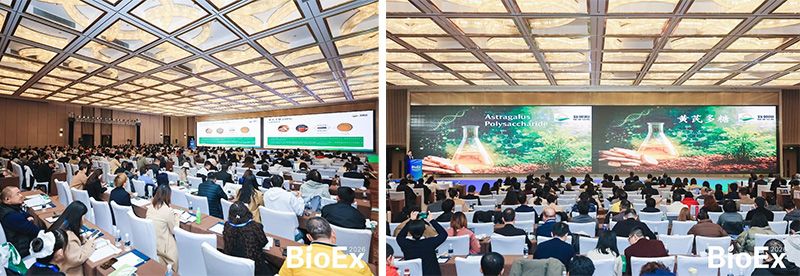 新朝陽(yáng)亮相BioEx 2026：技術(shù)供給+屬地化協(xié)同，推動(dòng)高性能生物刺激素高效落地